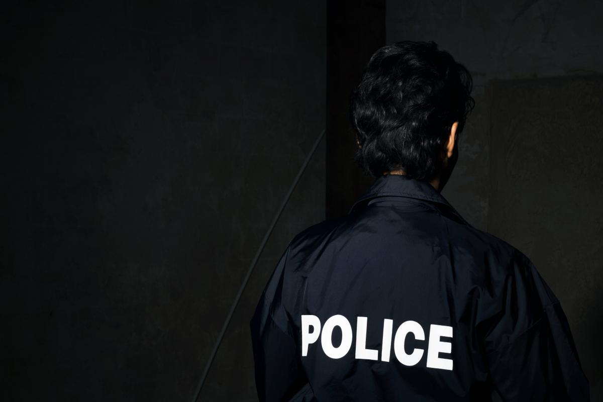 House Break Ins How to Prevent Them Surex