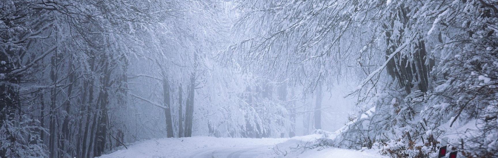 How to Get Winter Tire Insurance Discount Ontario Surex