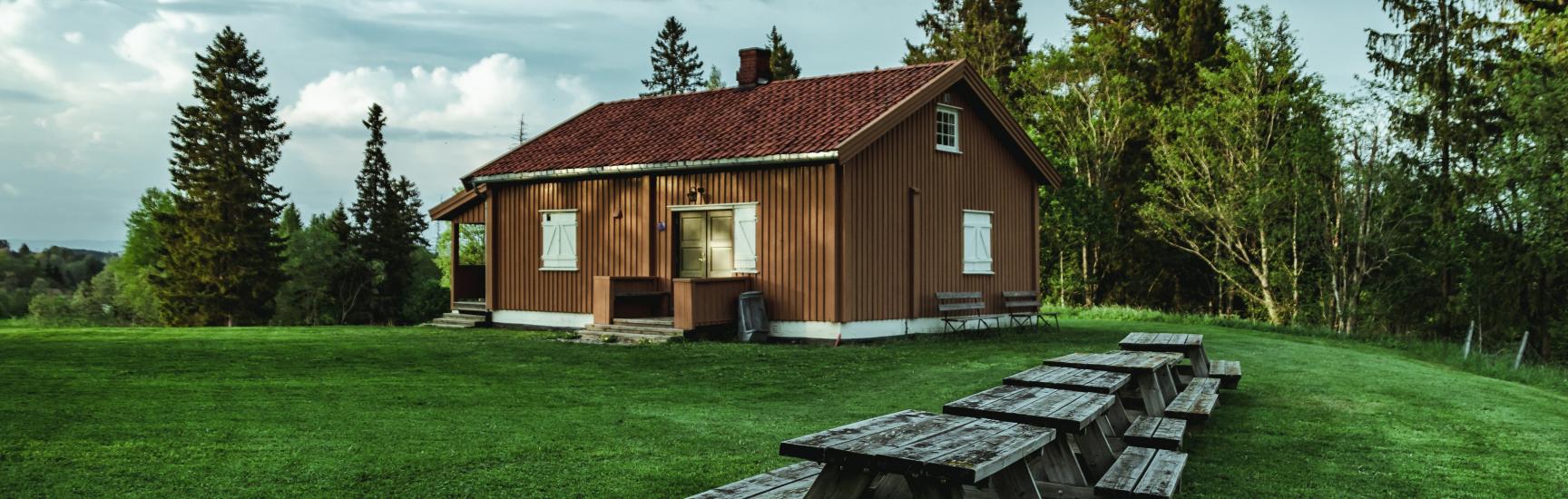 Neighbour's Tree Damaging Your Property in Ontario What To Do Surex