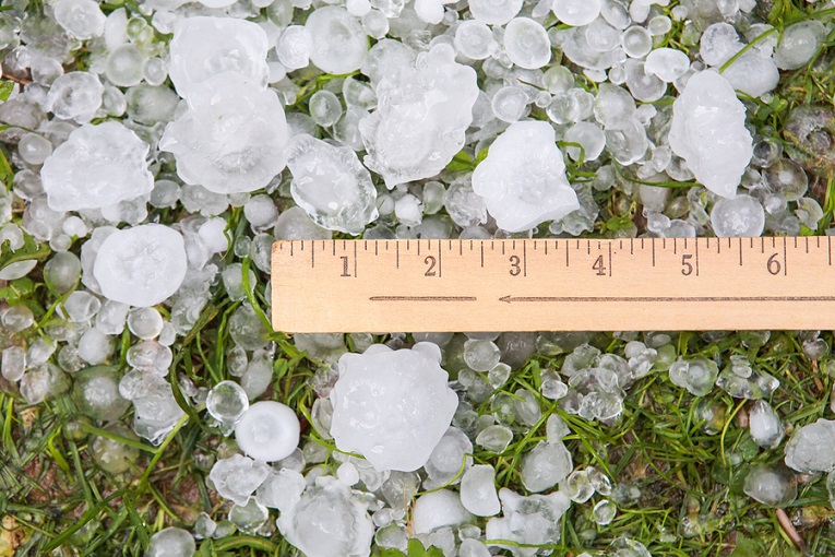 "Ruler over ice cubes"