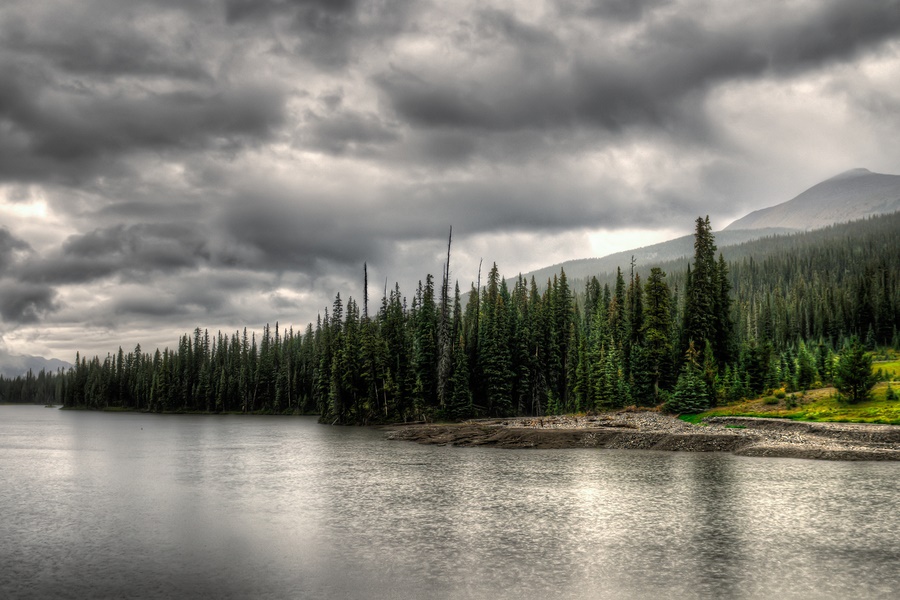 Natural Disaster Insurance Weather