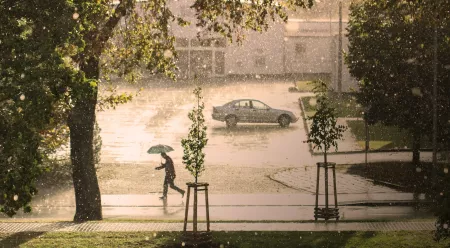 hail damage insurance claim car 