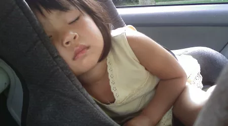 alberta car seat laws