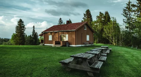 What To Do If Your Neighbour's Tree is Damaging Your Property
