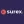 Surex Logo